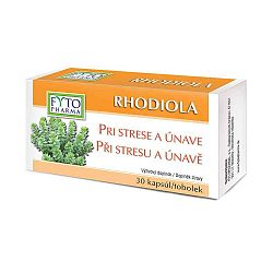 Fyto Pharma Rhodiola pri strese a bolestiach hlavy 30 kapsúl