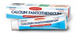 TEREZIA Calcium pantothenicum masť 30 g